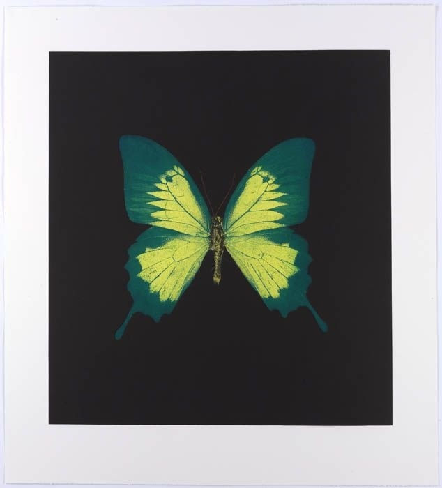 Damien Hirst original prints for sale