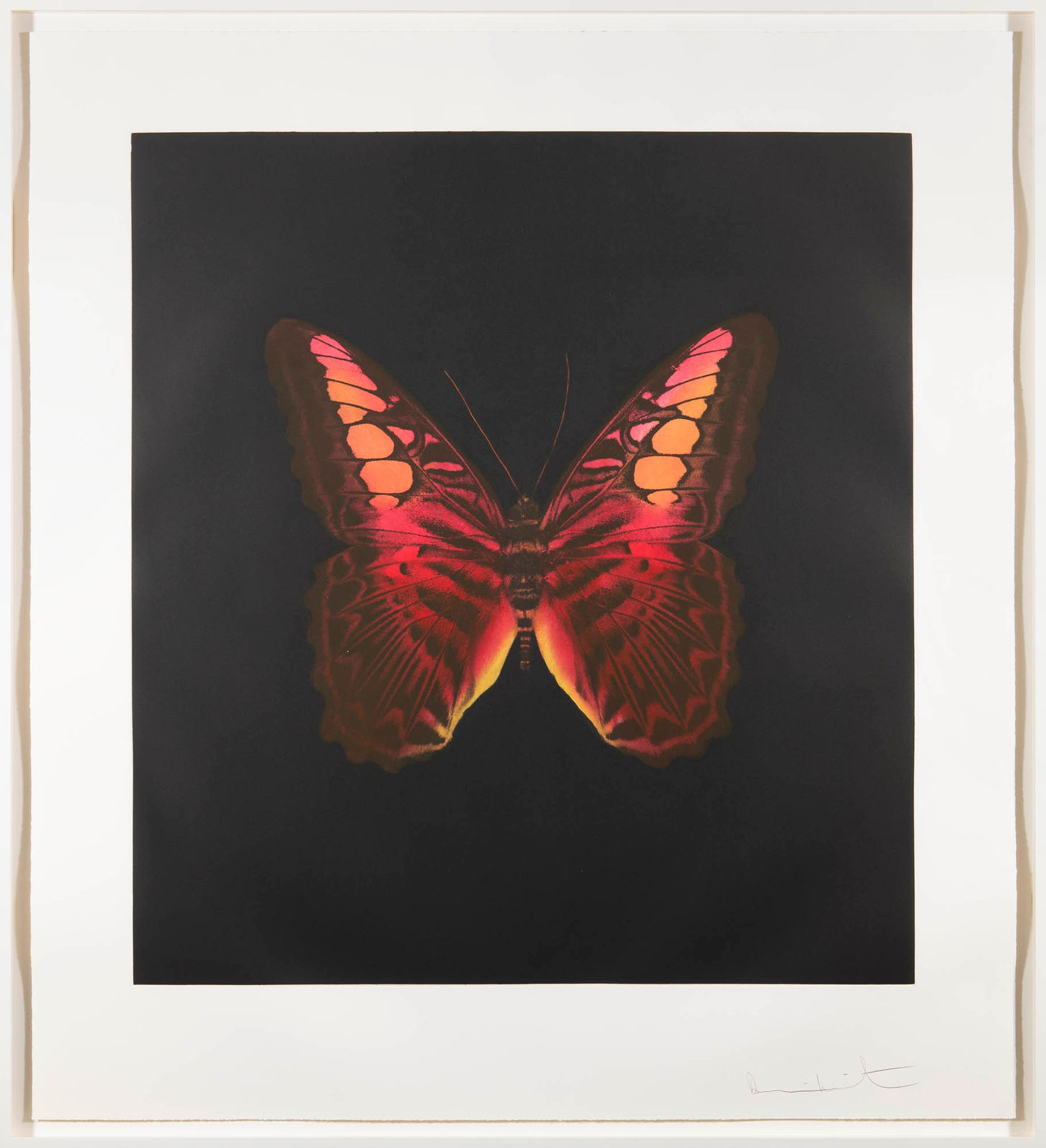 Damien Hirst Memento print for sale
