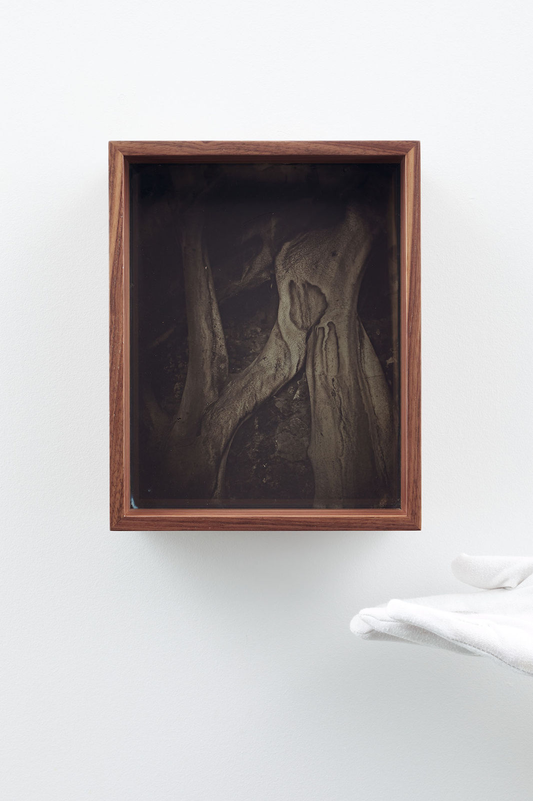 Martín Soto Climent, Detail (Collodion 9), 2020