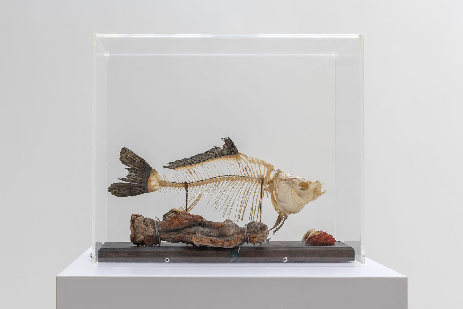 Siri Derkert, Matriarkatets död, 1960