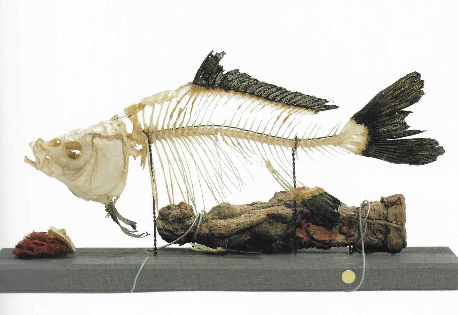 Siri Derkert, Matriarkatets död, 1960