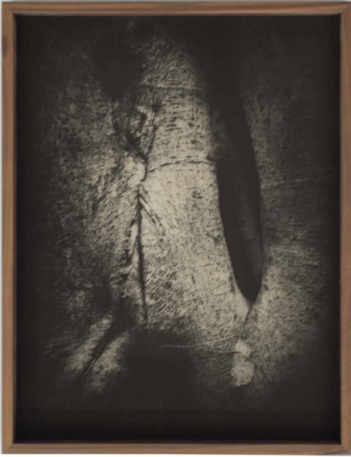 Martín Soto Climent, Detail (Heliogravure print 5) , 2021