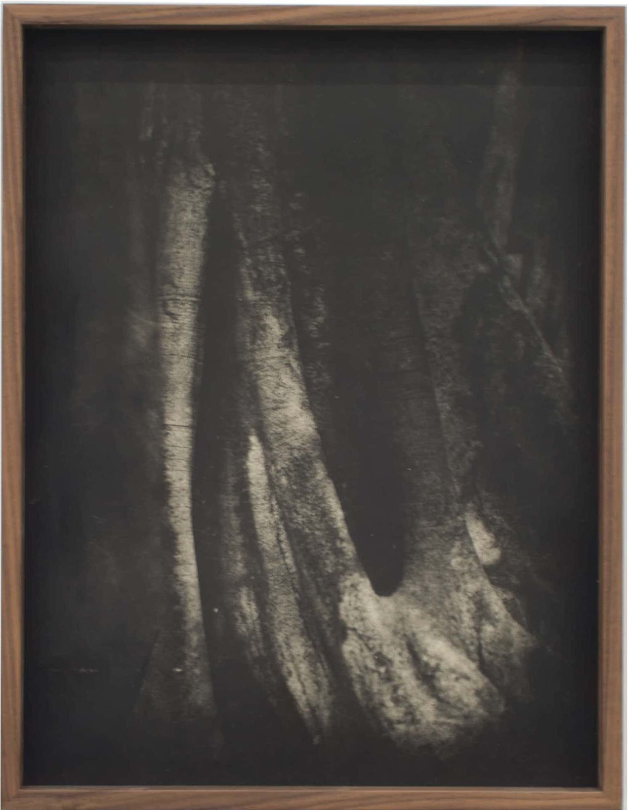 Martín Soto Climent, Detail (Heliogravure print 1) , 2021