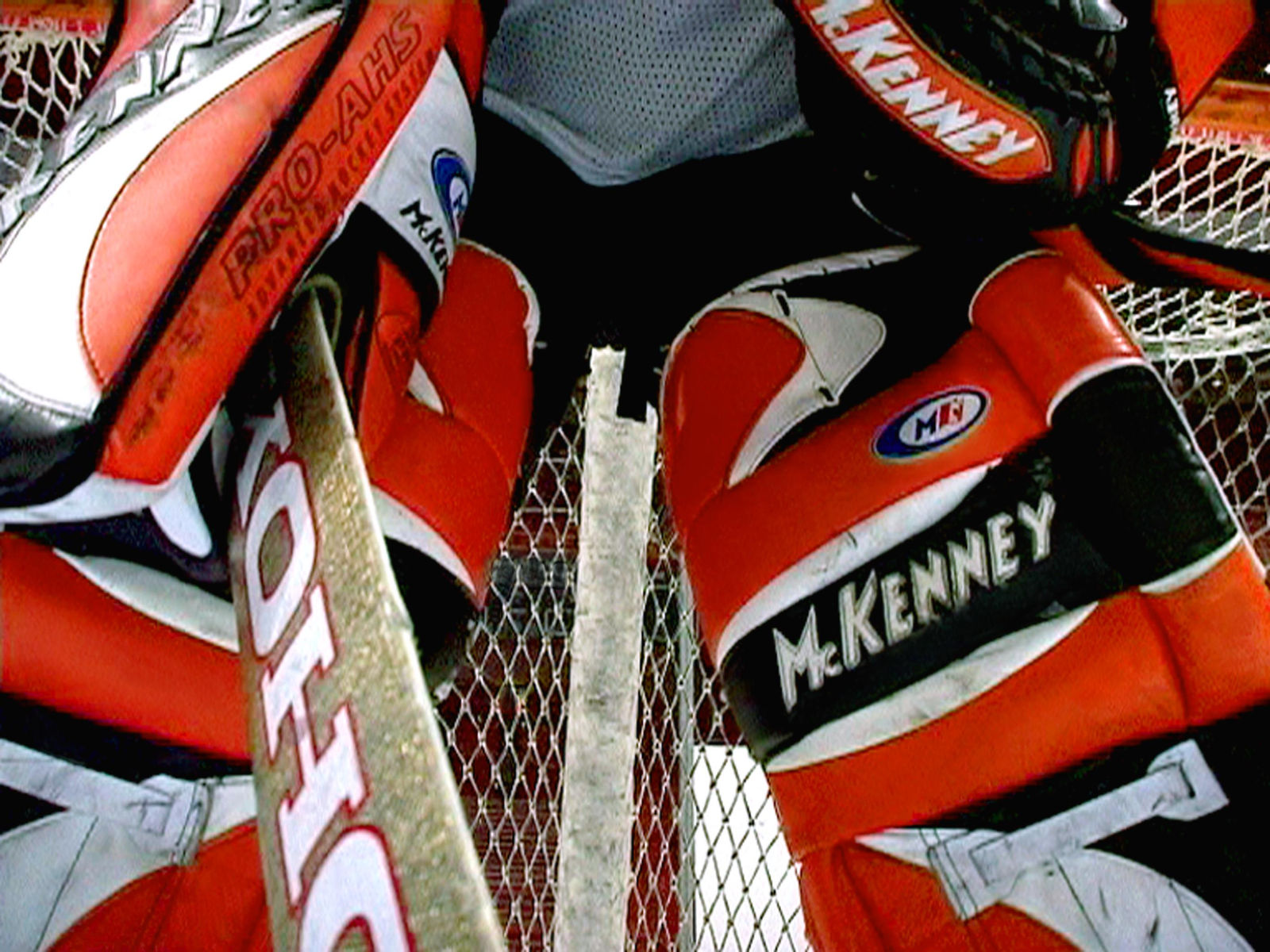 Annika Larsson, Hockey, 2004