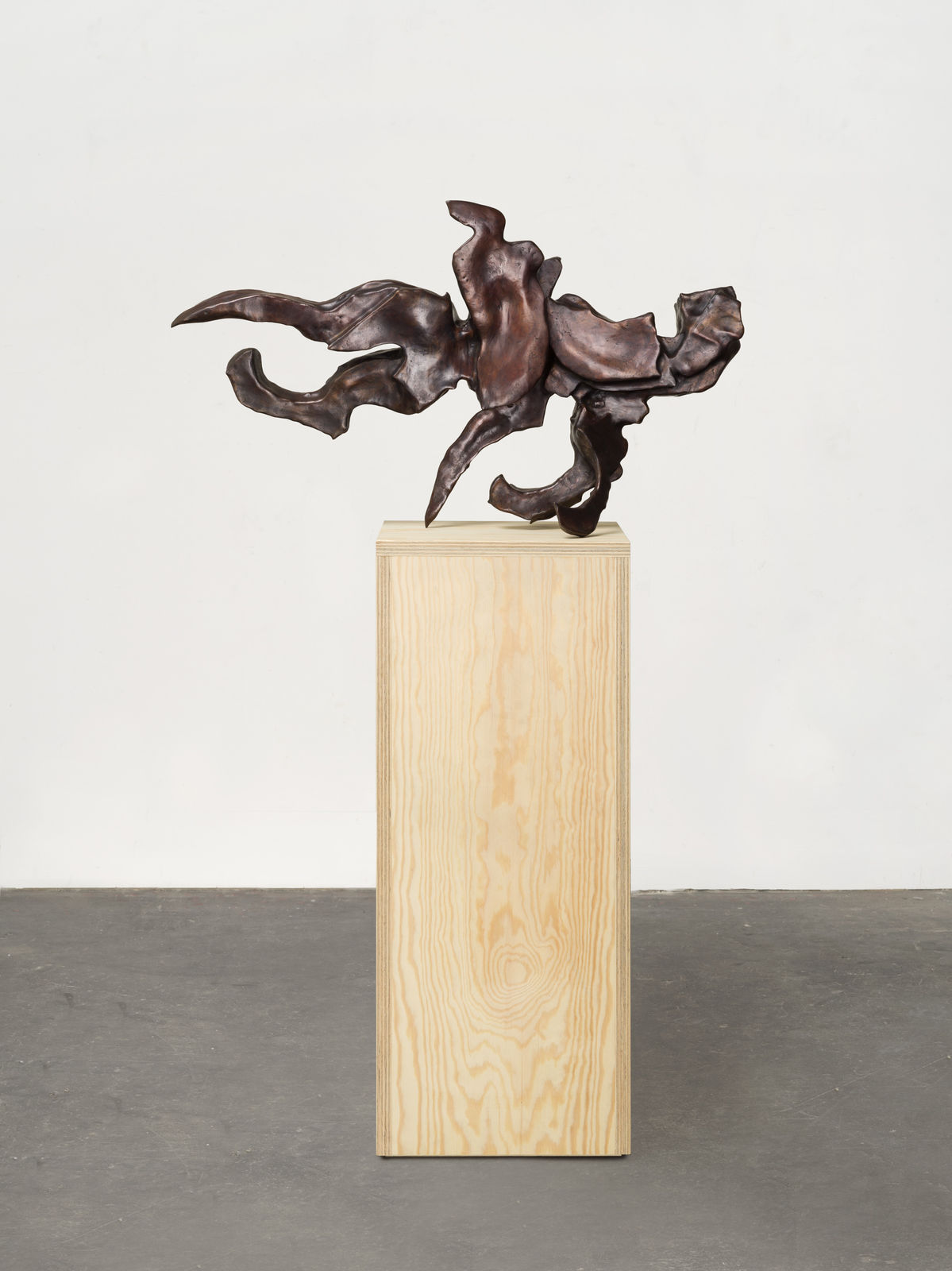 Sally von Rosen, Coccyx, 2026