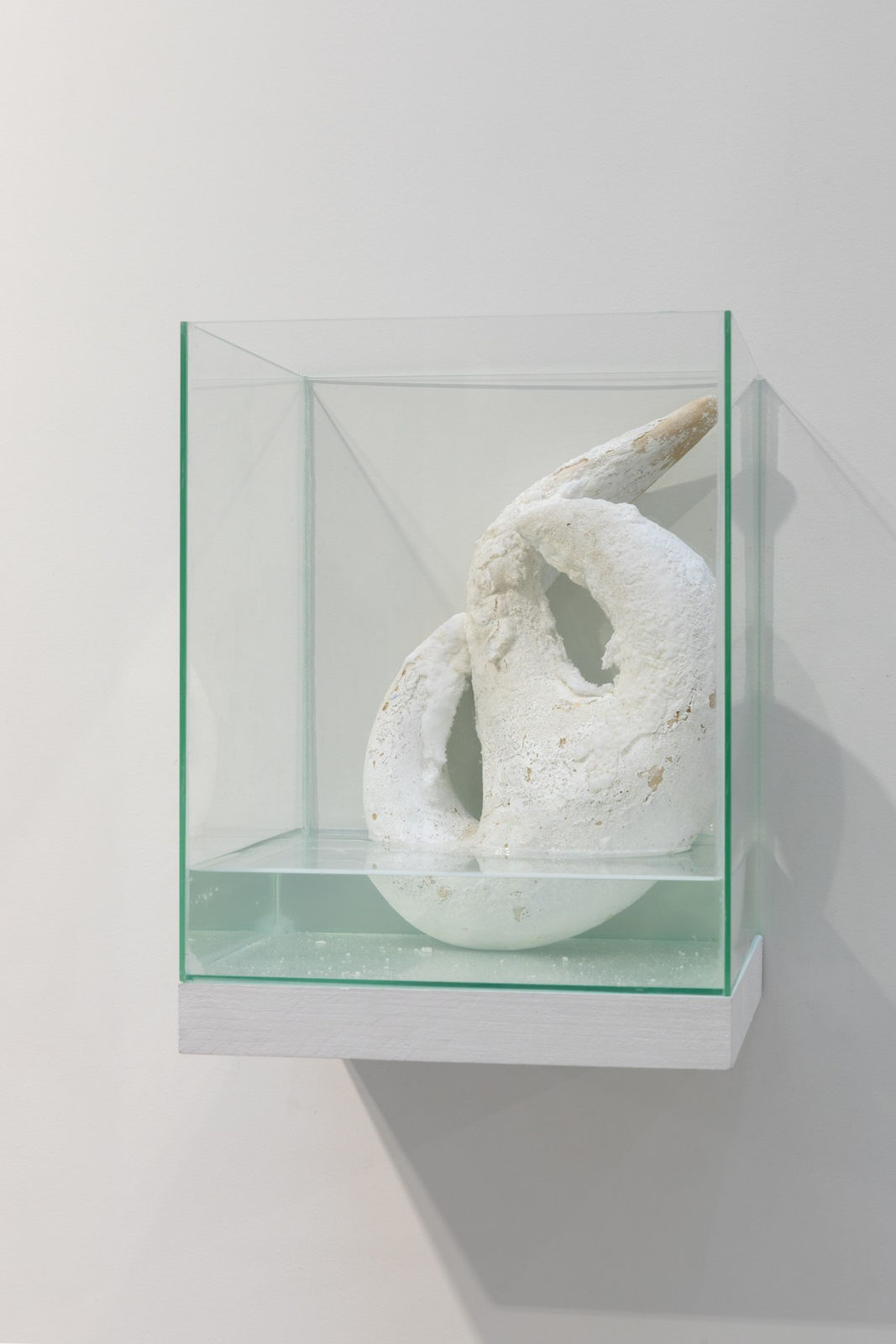 Lise Thiollier, This desert was once a sea, 2021