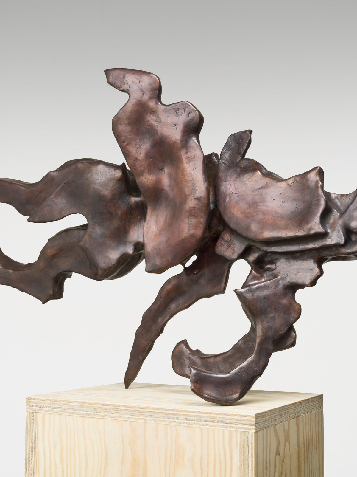 Sally von Rosen, CoccyX , 2026