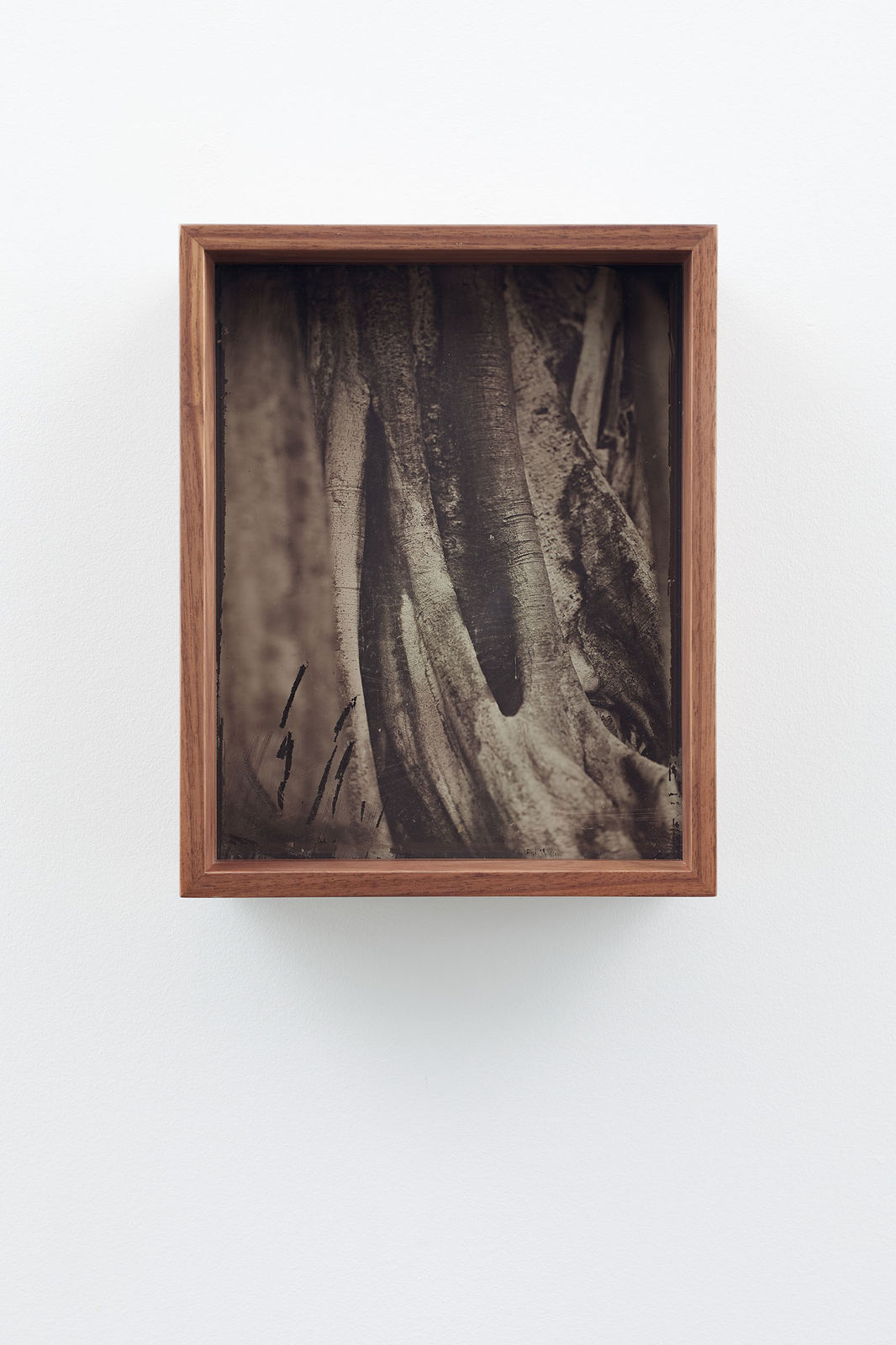 Martín Soto Climent, Detail (Collodion 1), 2020