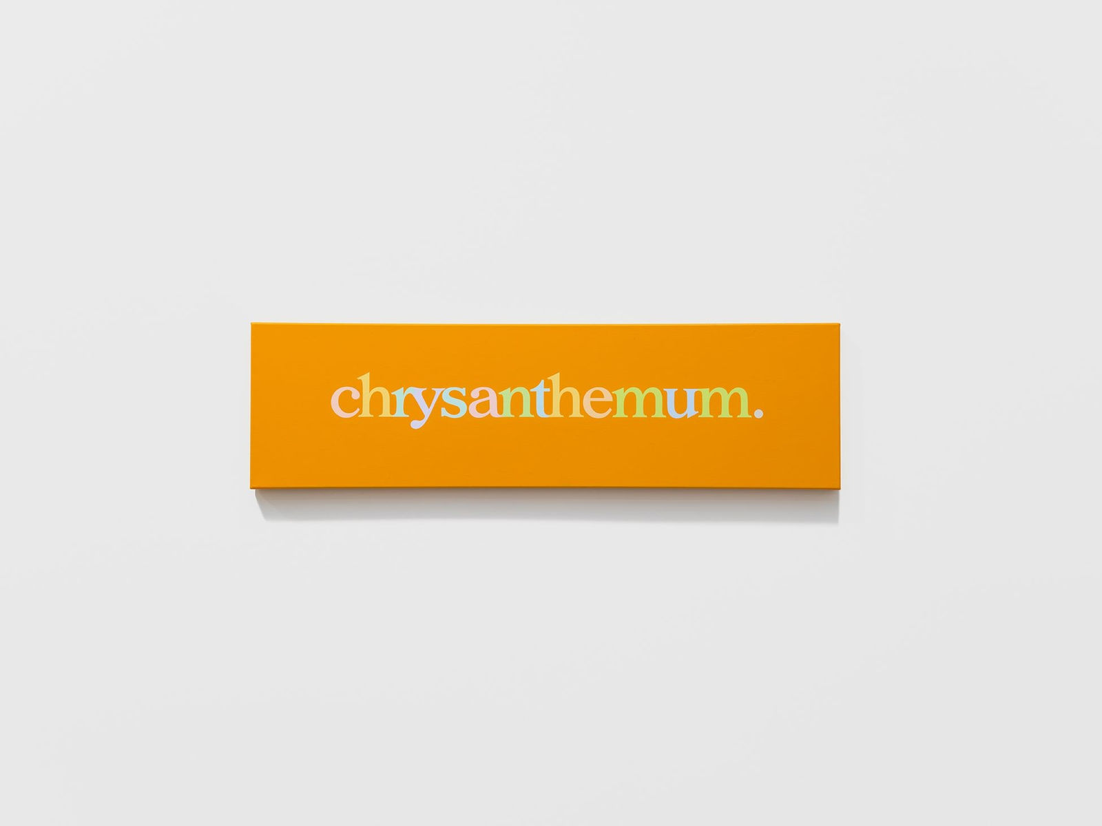 Ricci Albenda, chrysanthemum in f (#2), 2018