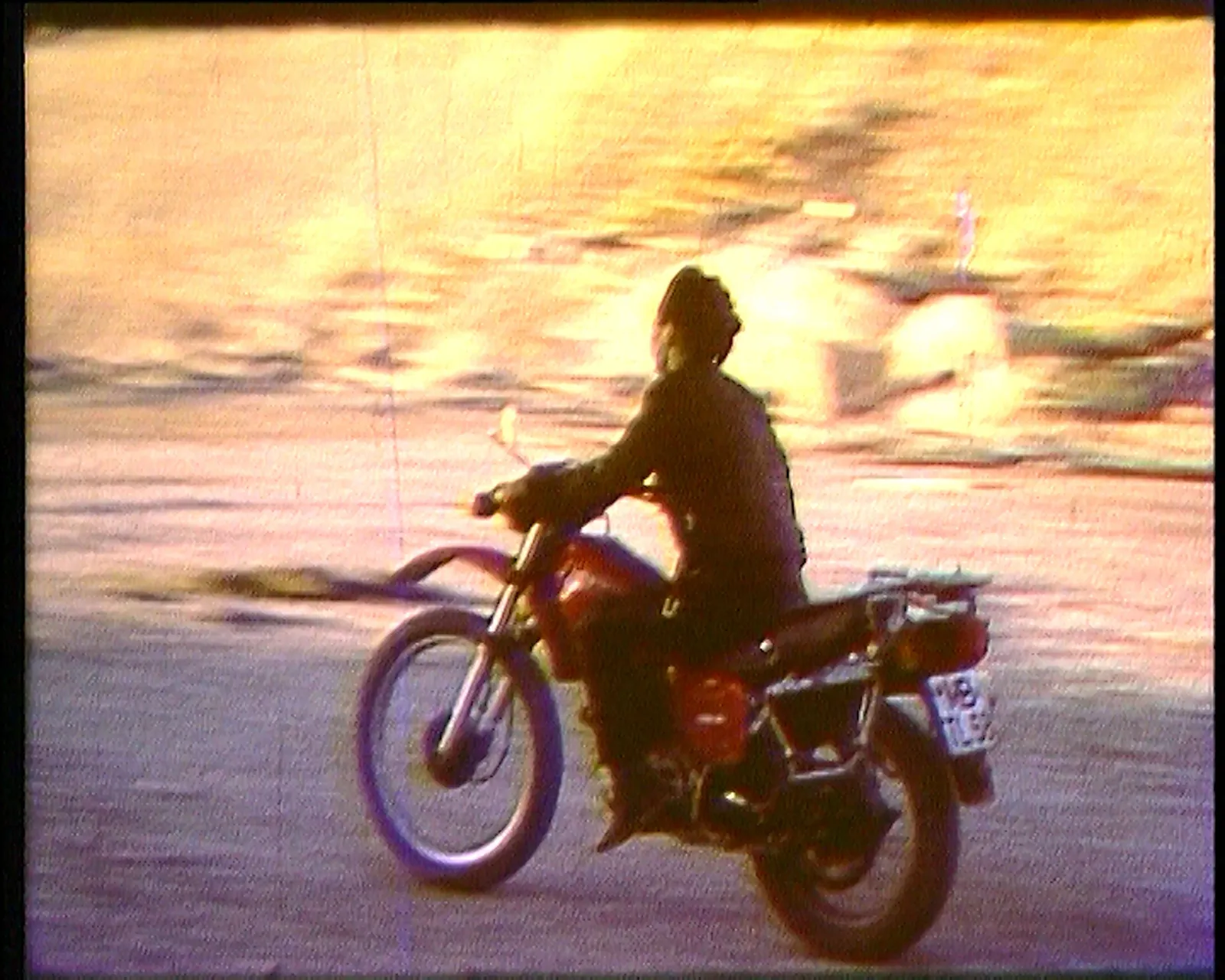 Hito Steyerl, November, 2004