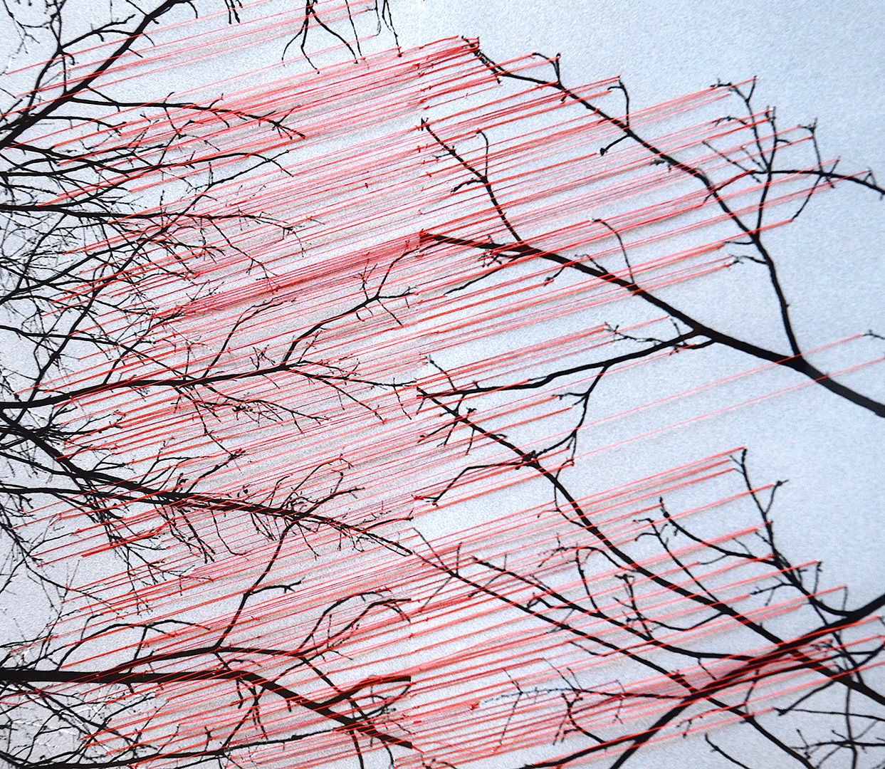 Gisoo Kim, Red Lines, 2020