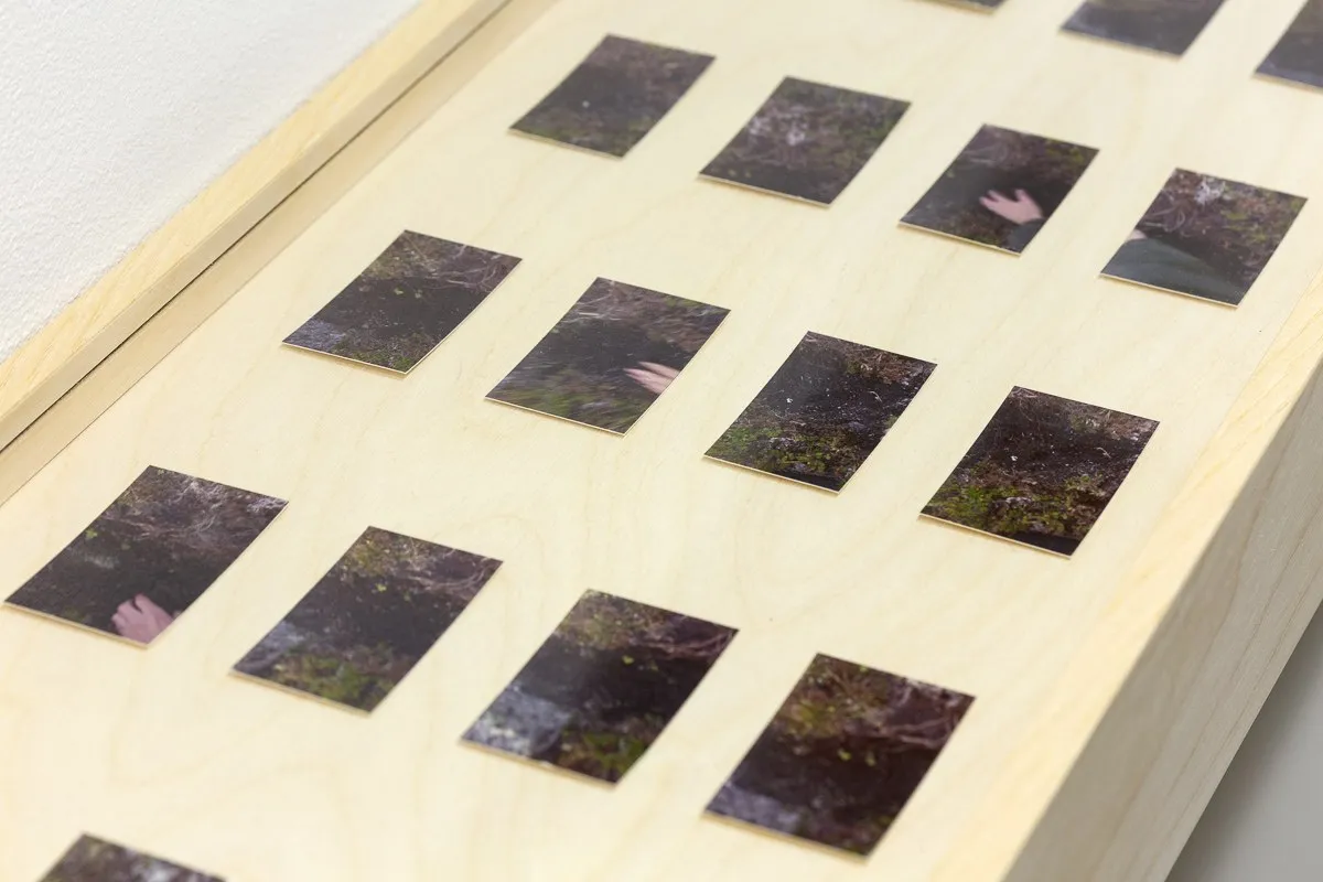 Дима Филиппов, Time of land. Kirovsk | Время земли. Кировск, 2024