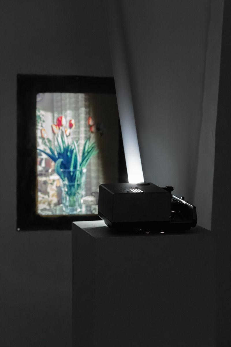 Евгений Гранильщиков, Tulips | Тюльпаны, 2025