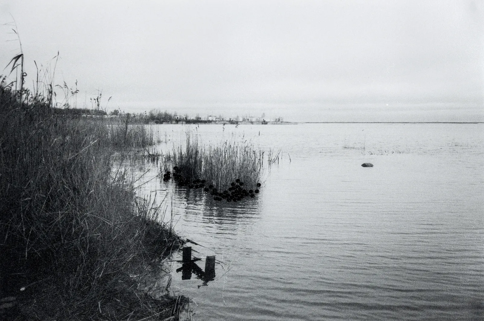 Устина Яковлева, Memory 11. Kronstadt | Воспоминание 11. Кронштадт, 2022