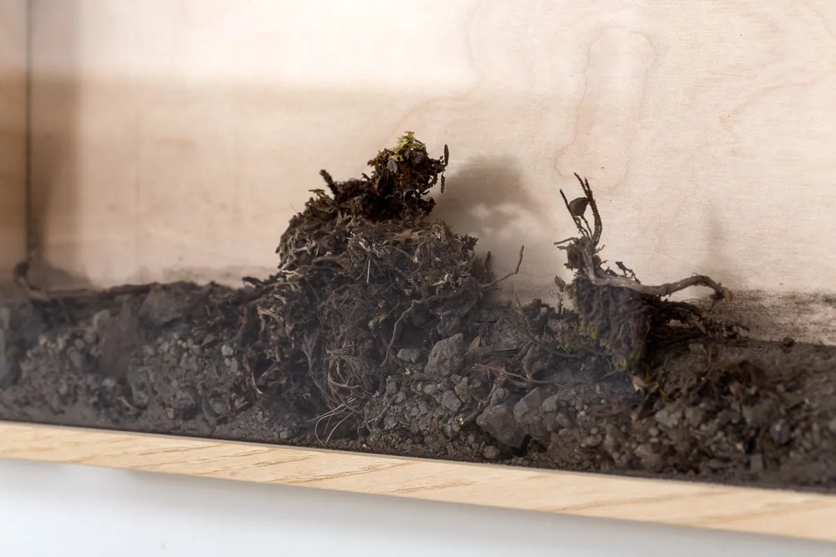 Дима Филиппов, Time of land. Kirovsk | Время земли. Кировск, 2024