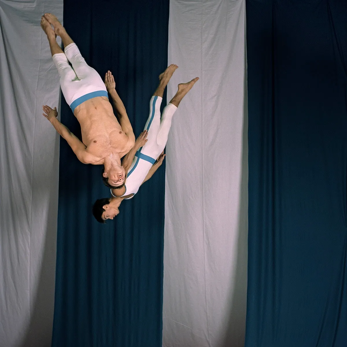 Валерий Кацуба, Birds X. Moscow | Птицы X. Москва , 2010