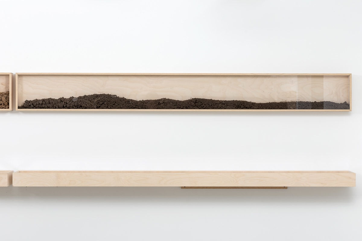 Дима Филиппов, Time of land. Ulyanovsk | Время земли. Ульяновск, 2024