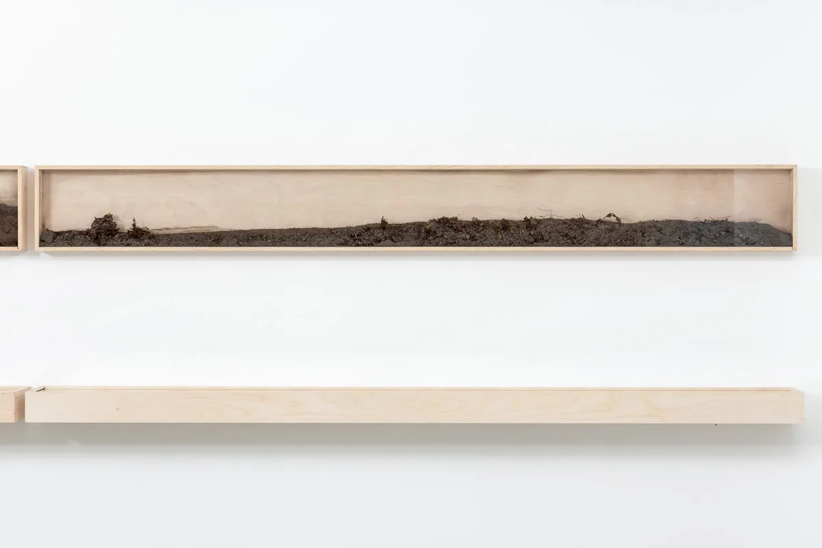 Дима Филиппов, Time of land. Kirovsk | Время земли. Кировск, 2024