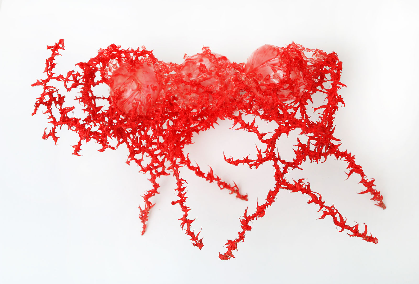 Aljoscha, Untitled | Без названия, 2016