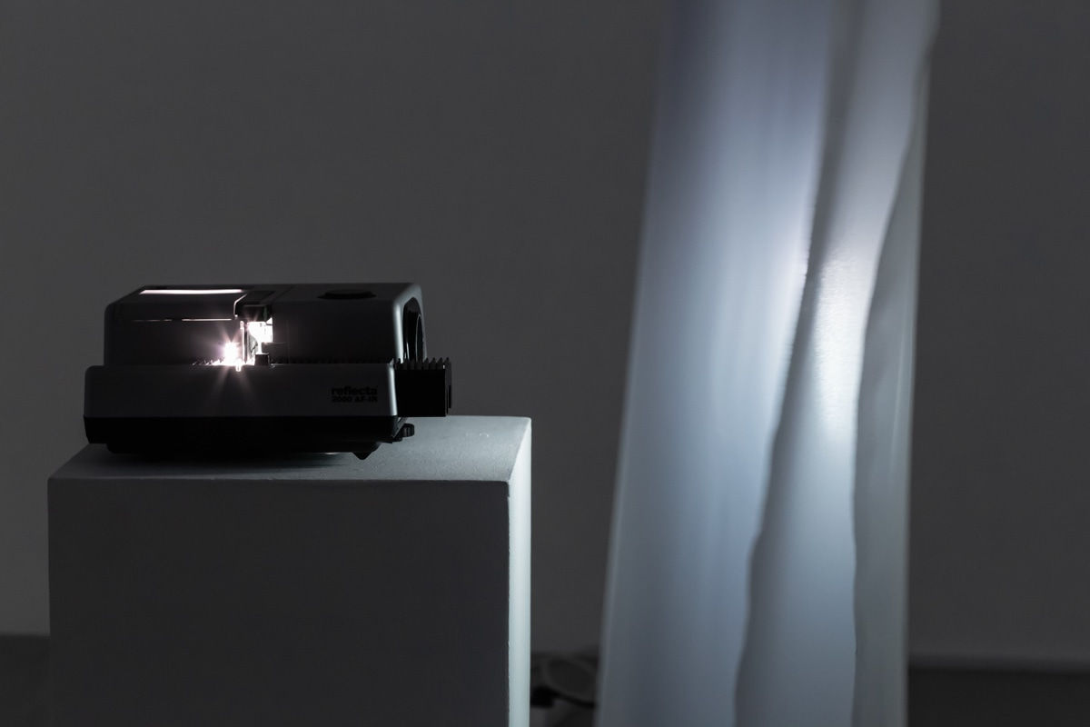 Евгений Гранильщиков, Tulips | Тюльпаны, 2025