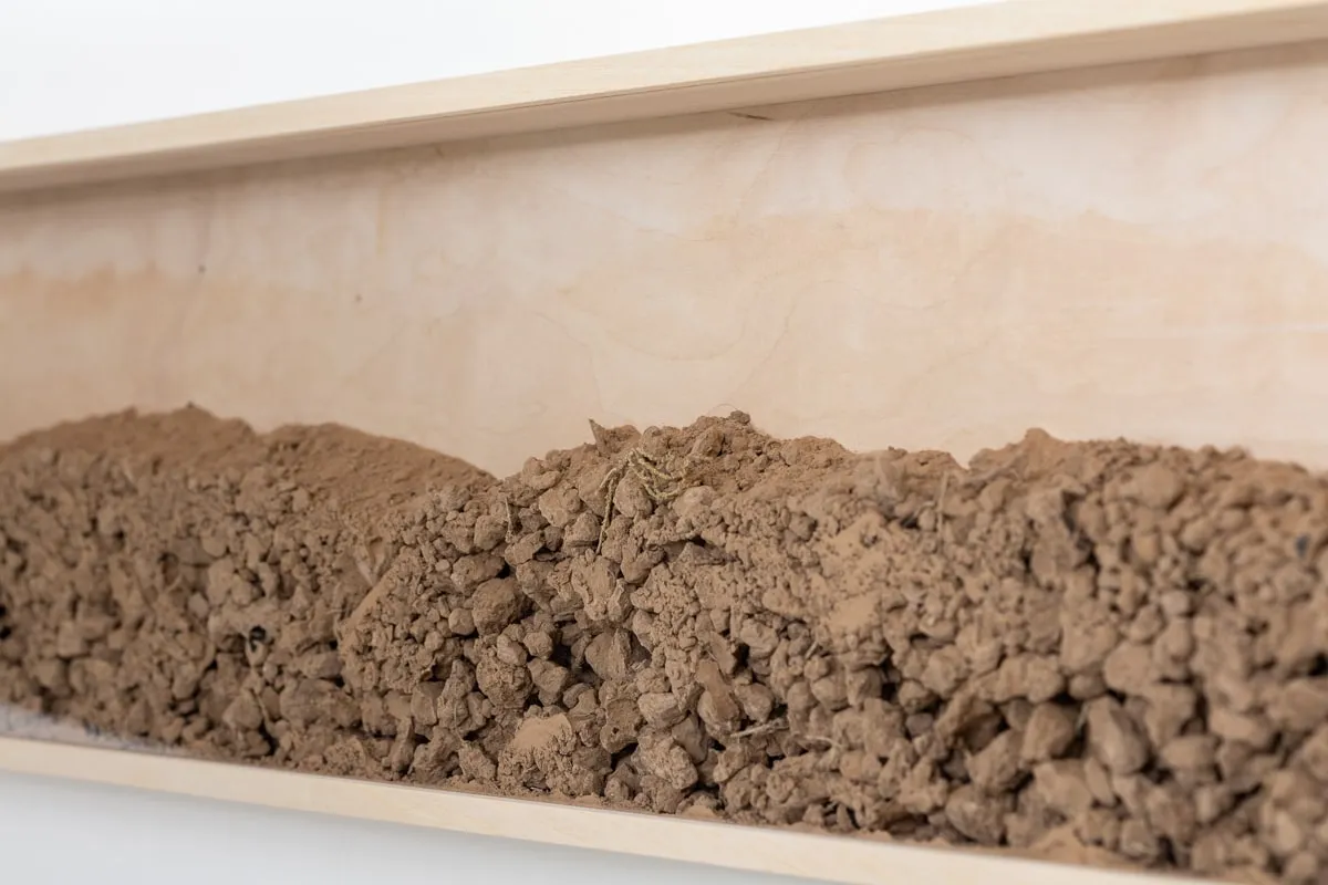 Дима Филиппов, Time of land. Elton lake | Время земли. Эльтон, 2024