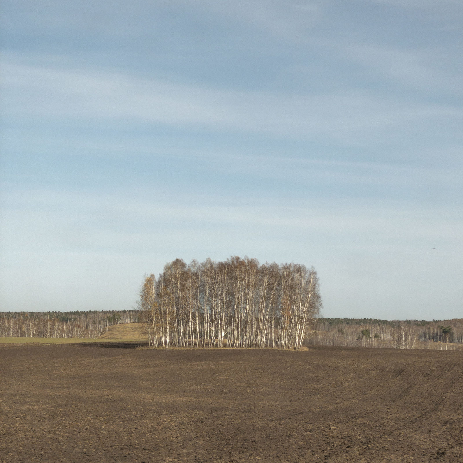 Дмитрий Марков, Krasnoyarsk region, 2020 | Красноярский край, 2020, 2020