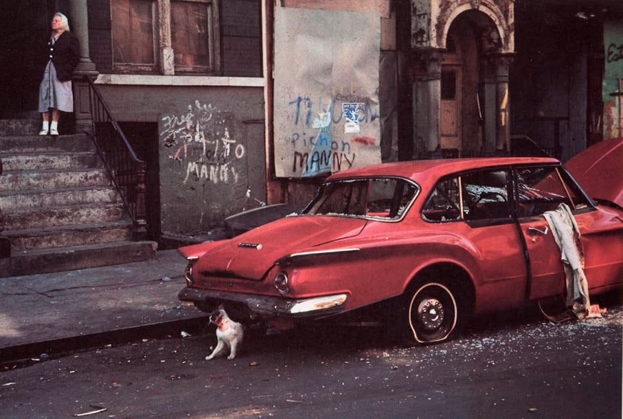 Helen LEVITT, New York 1972 (bloody cat) - HL 493, 1972 *
