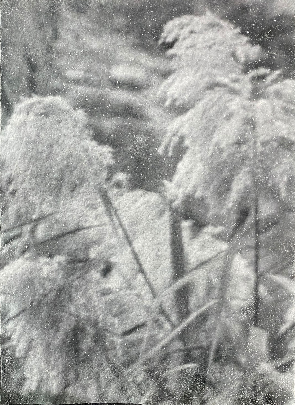 Ilanit Illouz, Pampa IX, 2022