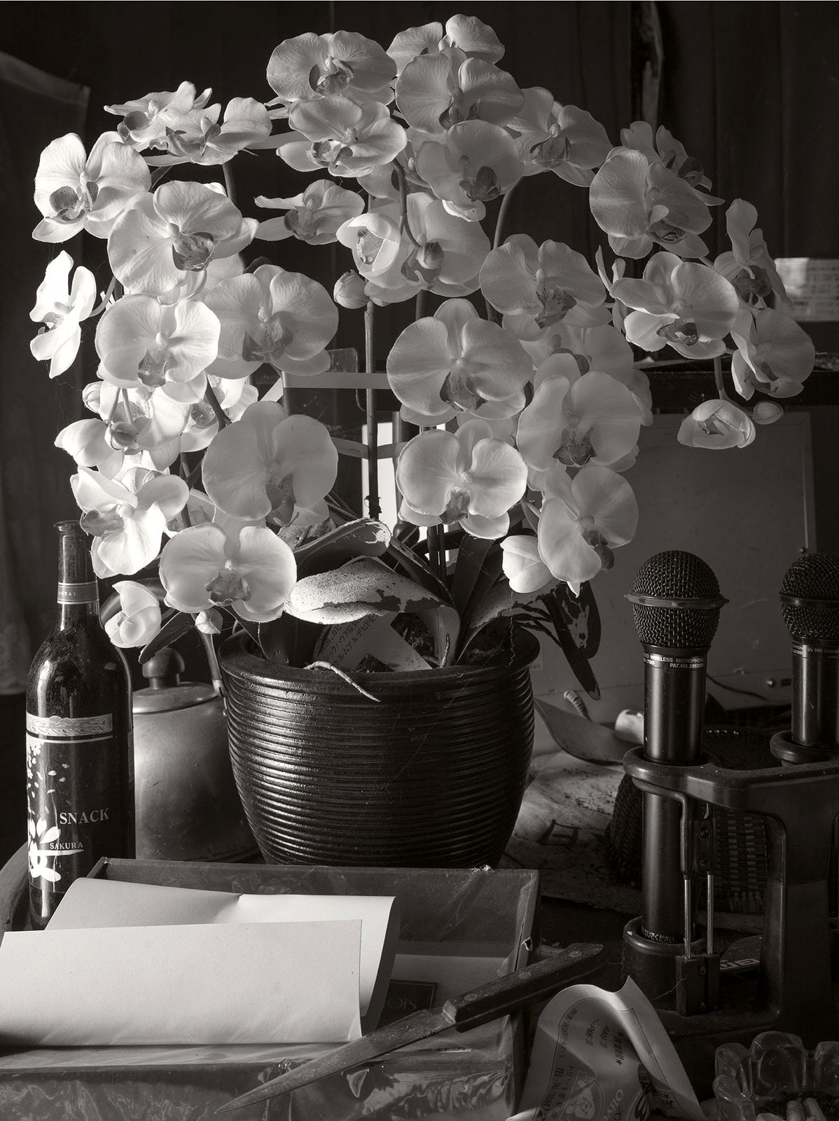 Pierre-Elie de Pibrac, Mono no Aware #2, 2021