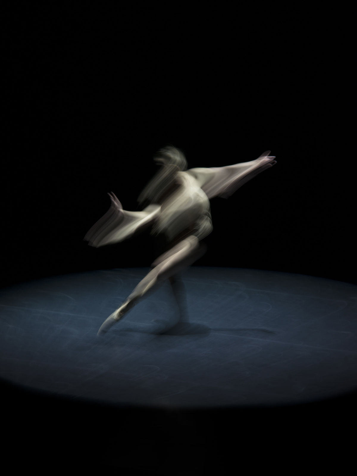 Pierre-Elie de Pibrac, Catharsis#17, 2013-14