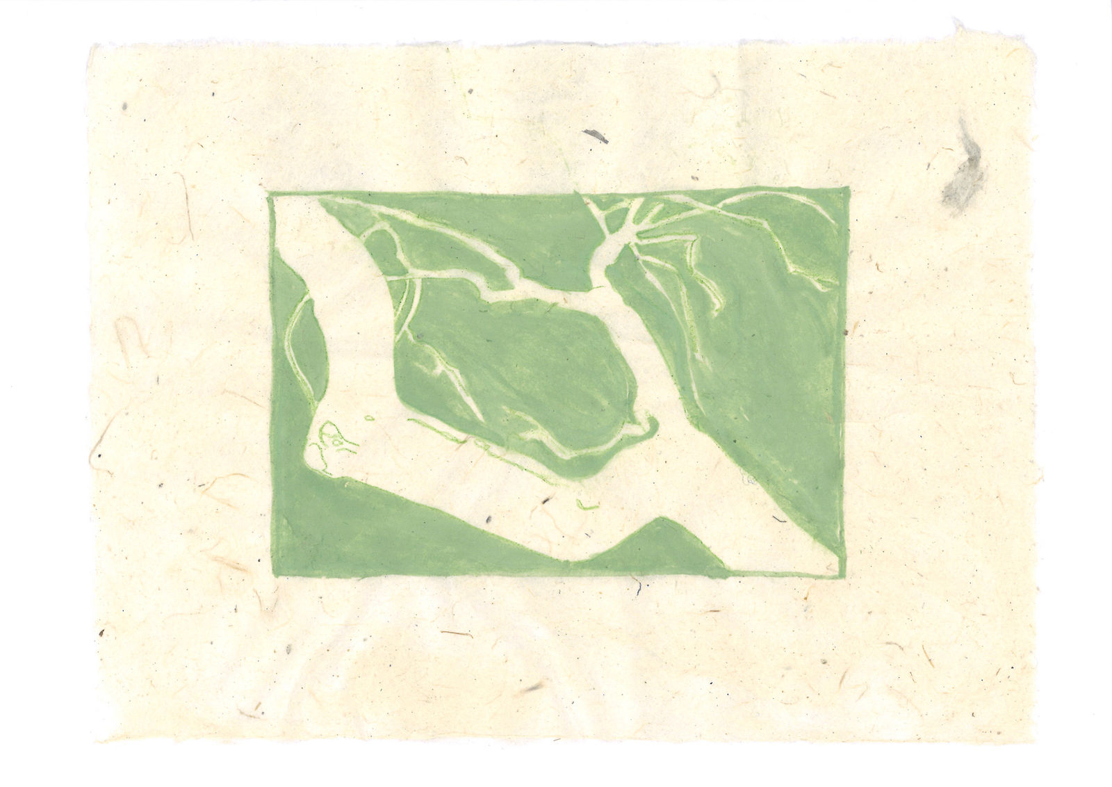 Katé Aráoz, Cartographie sensible d'un arbre #4, 2021-2022