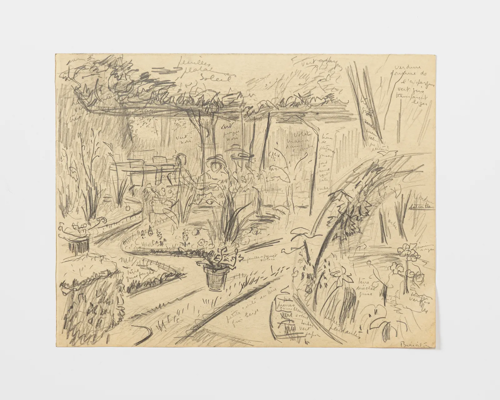 Diane Esmond, Dessin préparatoire #6