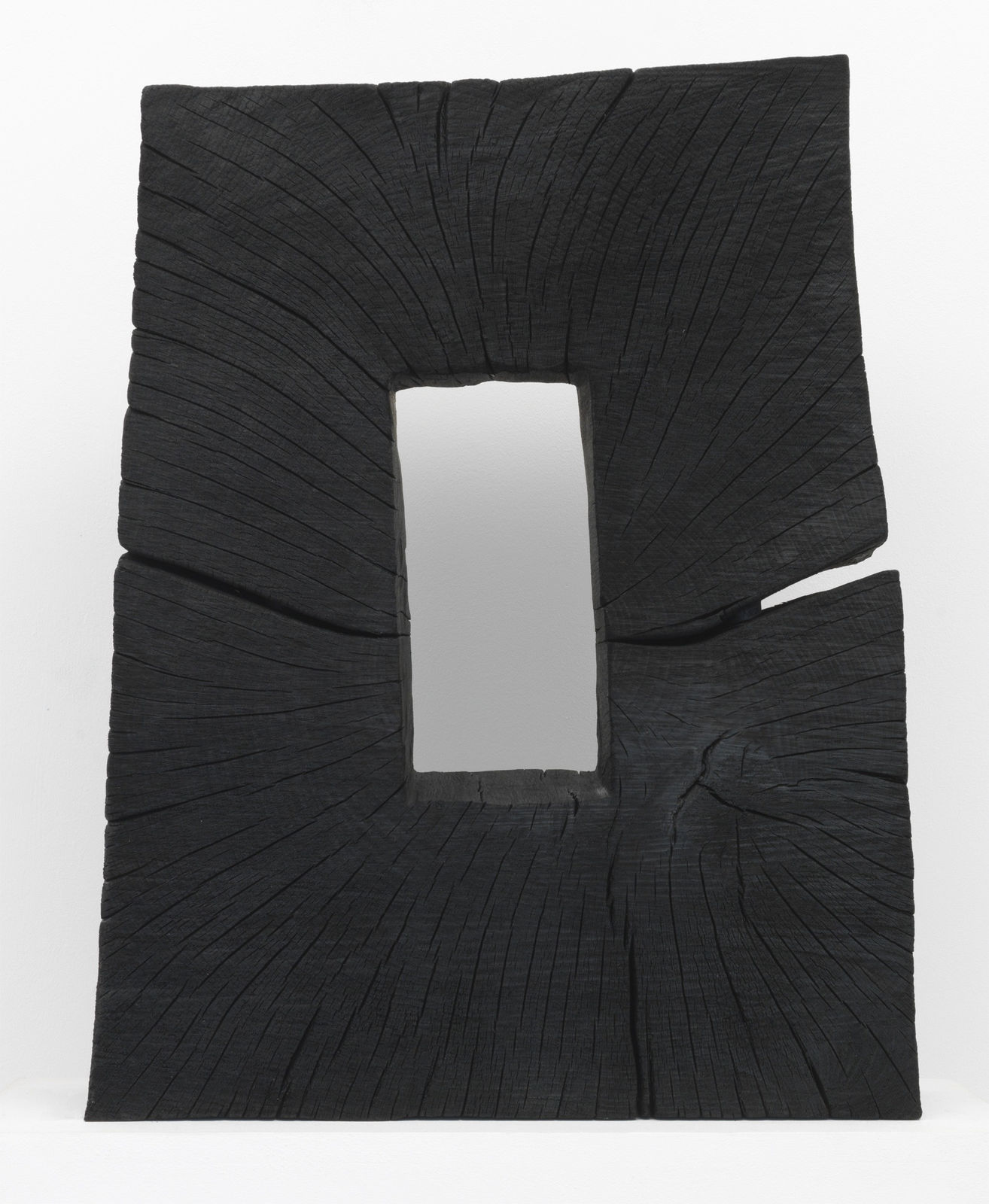 David Nash, Charred Fame, 2019
