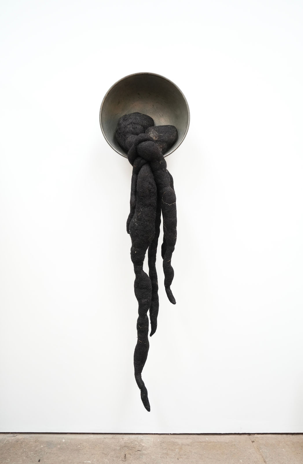 Nicola Turner, The Whisper Dish, 2024