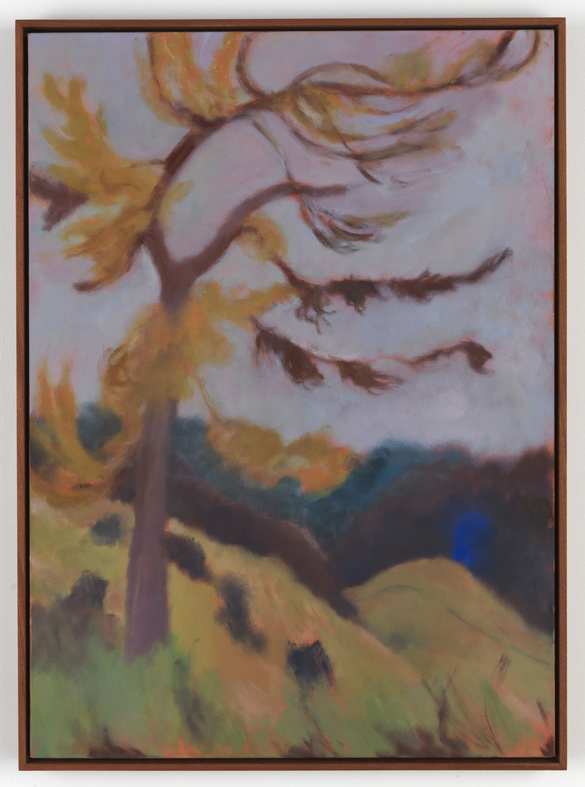 Sammi Lynch, Windblown Tree, 2025