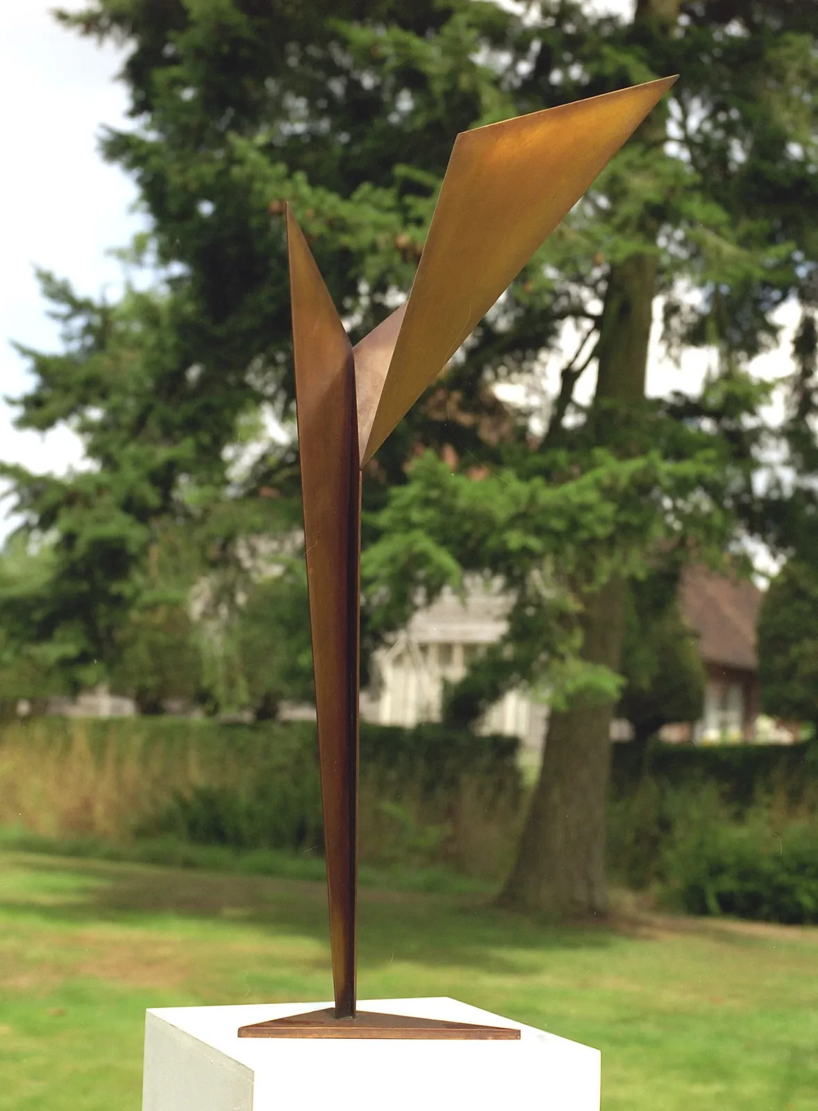 Graham Williams, Windblown (167), 1996