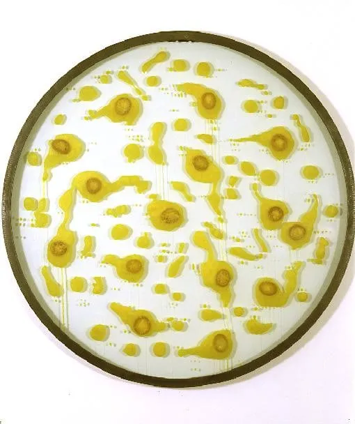 Gloria Friedmann, Pariah (lemons), 1998