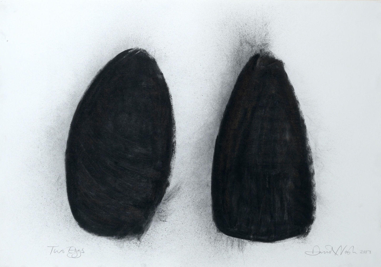 David Nash, Two Eggs, 2003