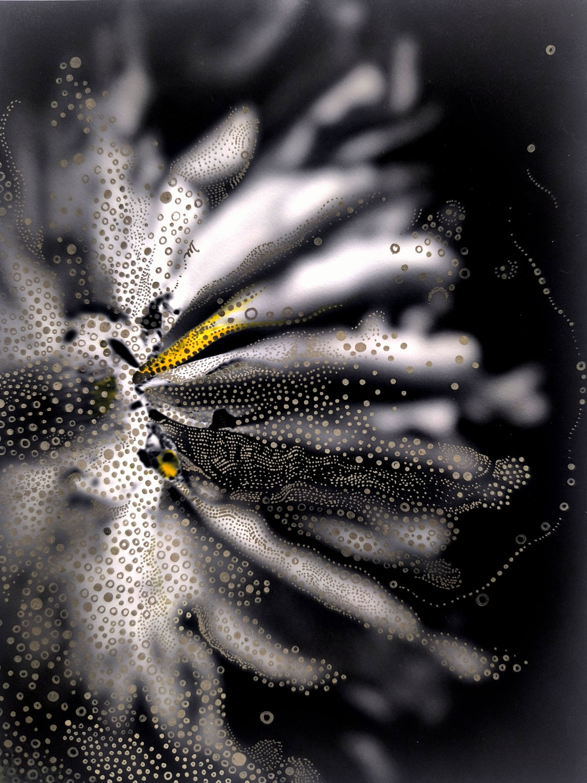 Avneet Chawla, Multiverse Frame, 2025