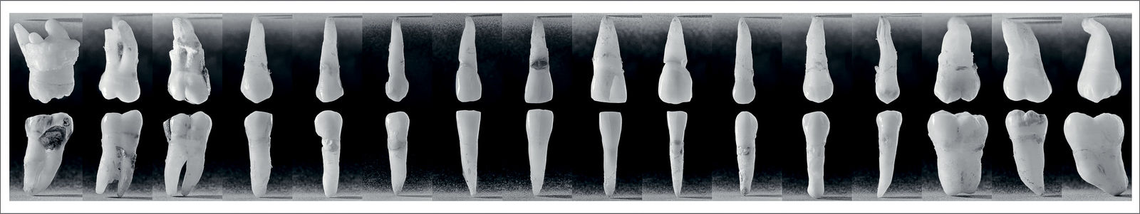 Photography, Smile, 1997