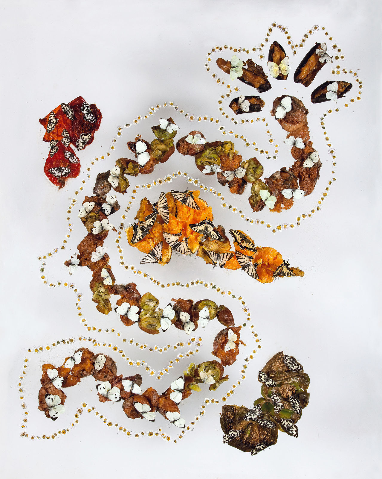 Installations Series 1, Ladybrand Park, 2010