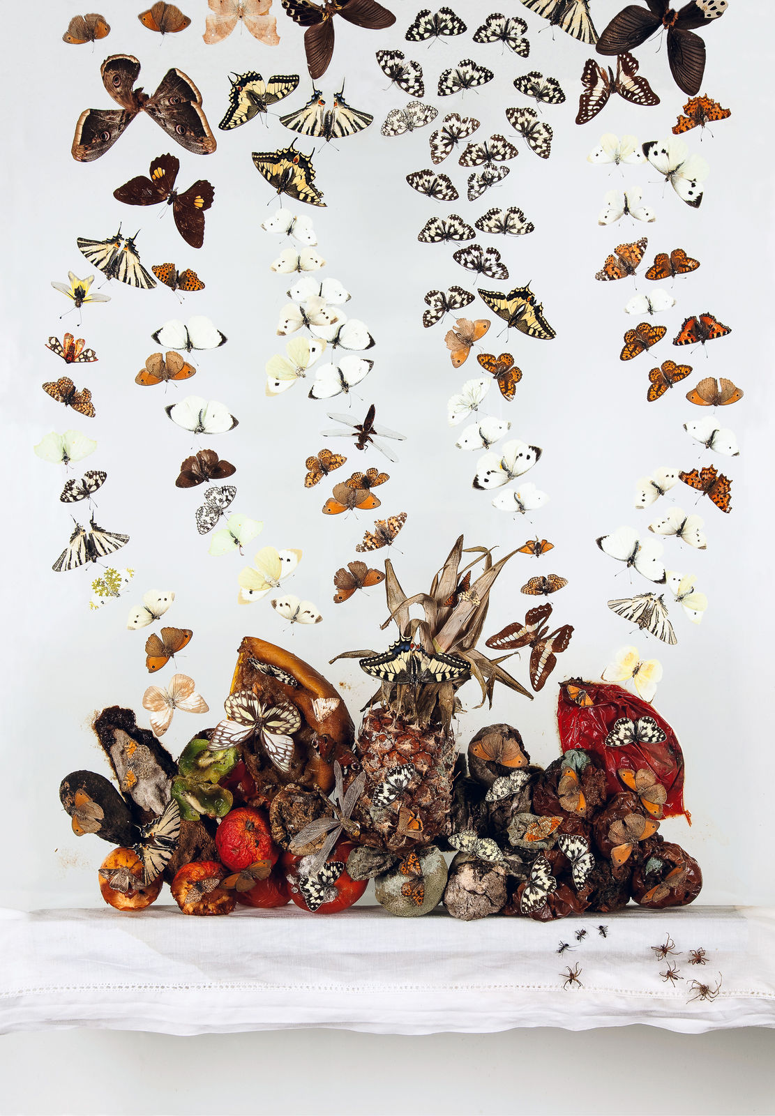 Installations Series 1, Precipitating, 2010