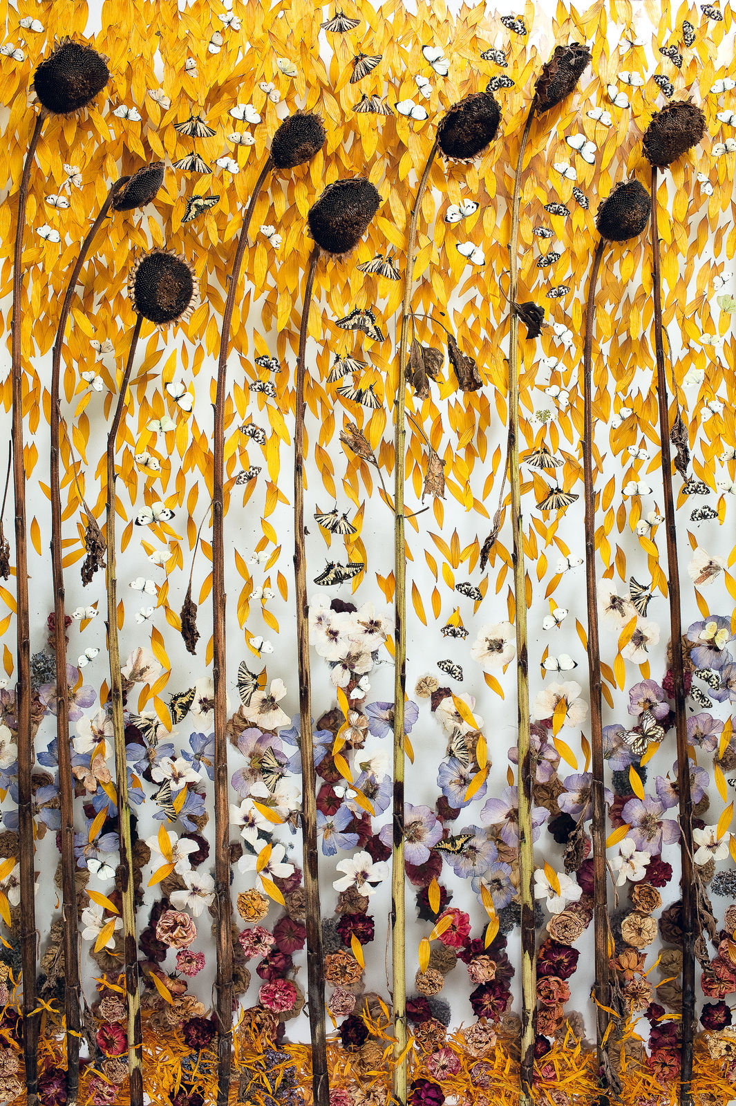 Installations Series 1, Tournesol Tournesol, 2010