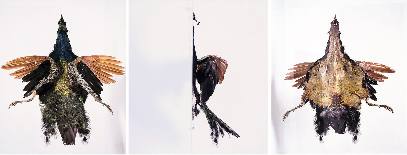 Sculptures, Valerian, 2003