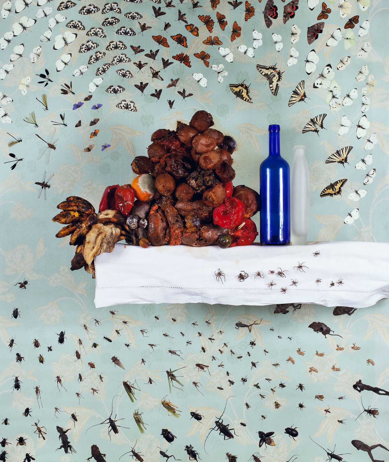 Installations Series 1, Still Life, June 30th, 2010