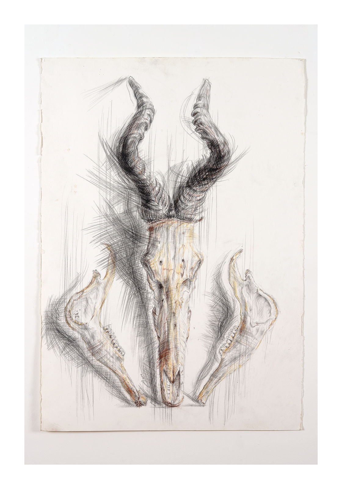 Drawings, Steerbox, 2000