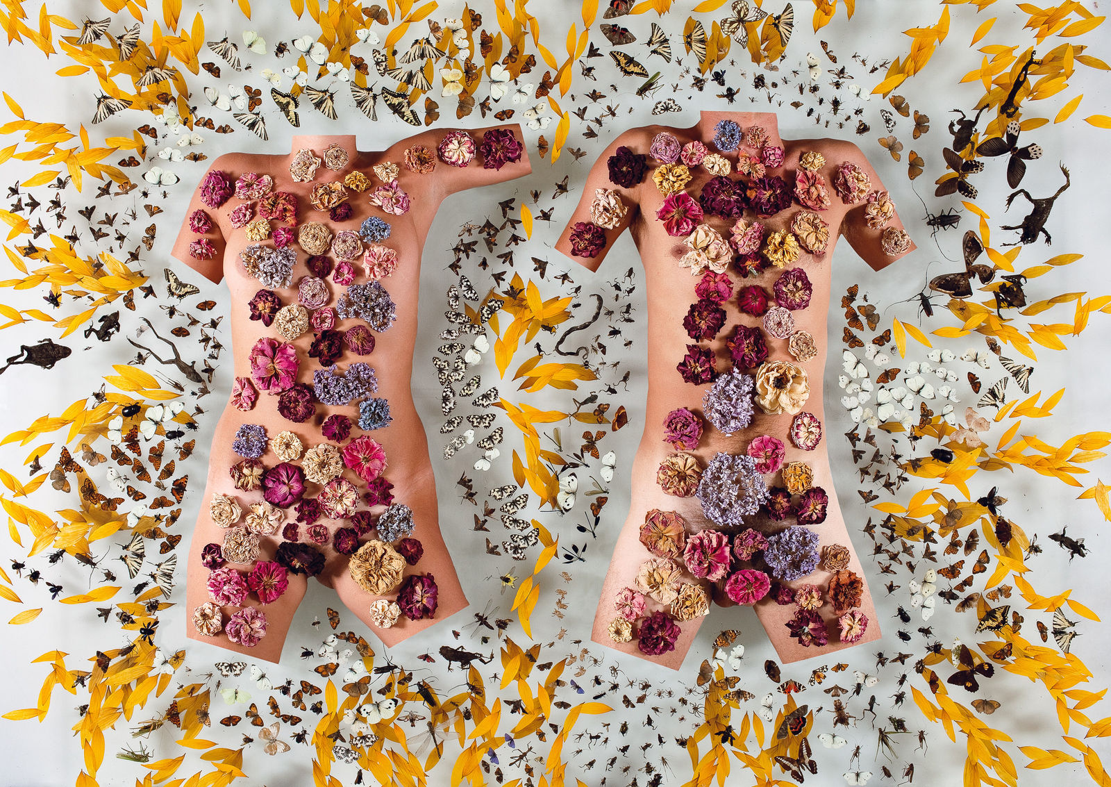 Installations Series 1, Madame Steven, 2010