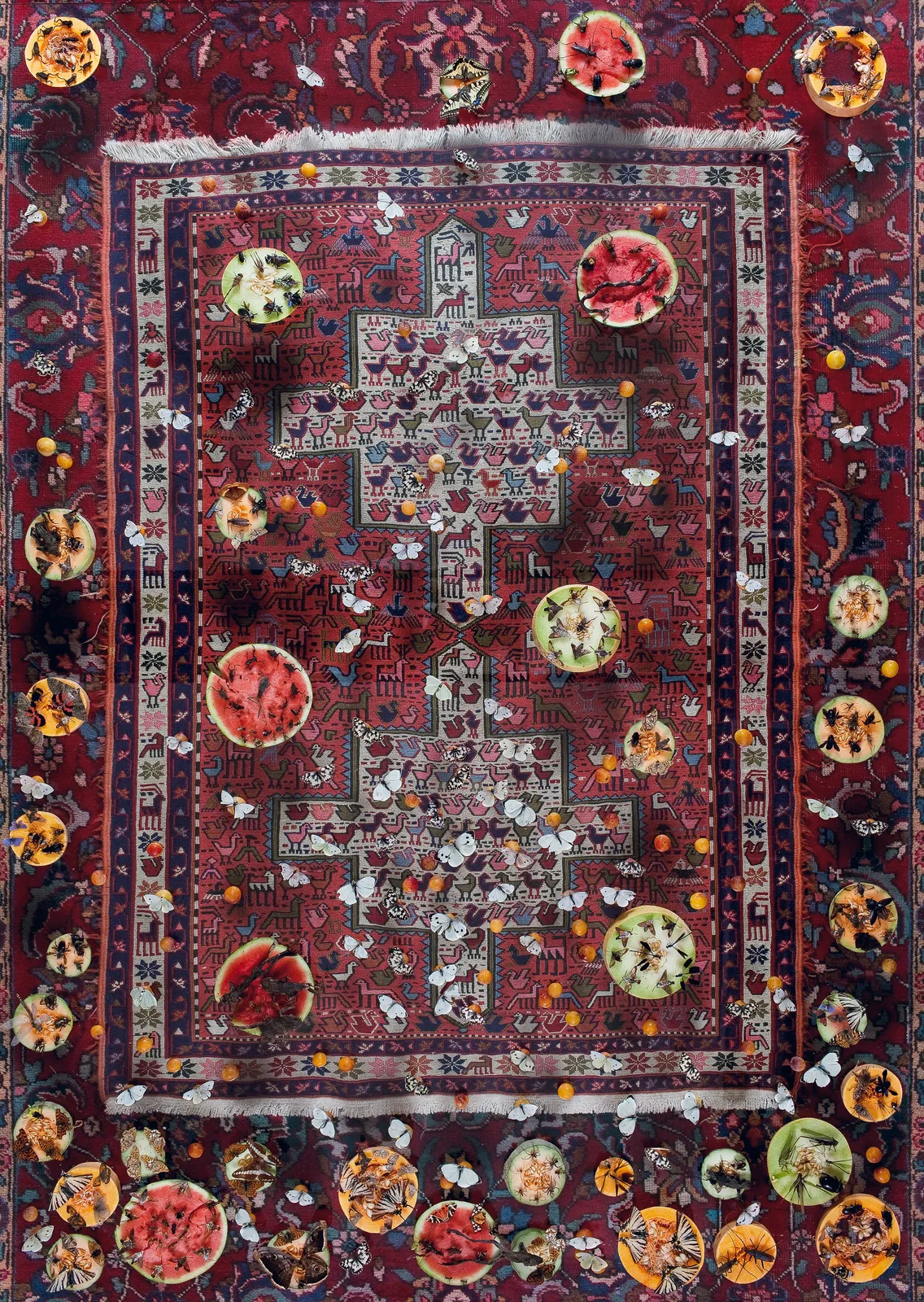 Installations Series 1, Picnic, 2010