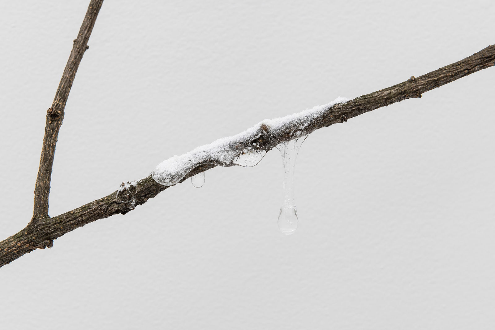 Isadora Soares Belletti, Experimentos para uma estação de cura (autorretrato) [Experiments for a healing station (self-portrait)], 2023/2025