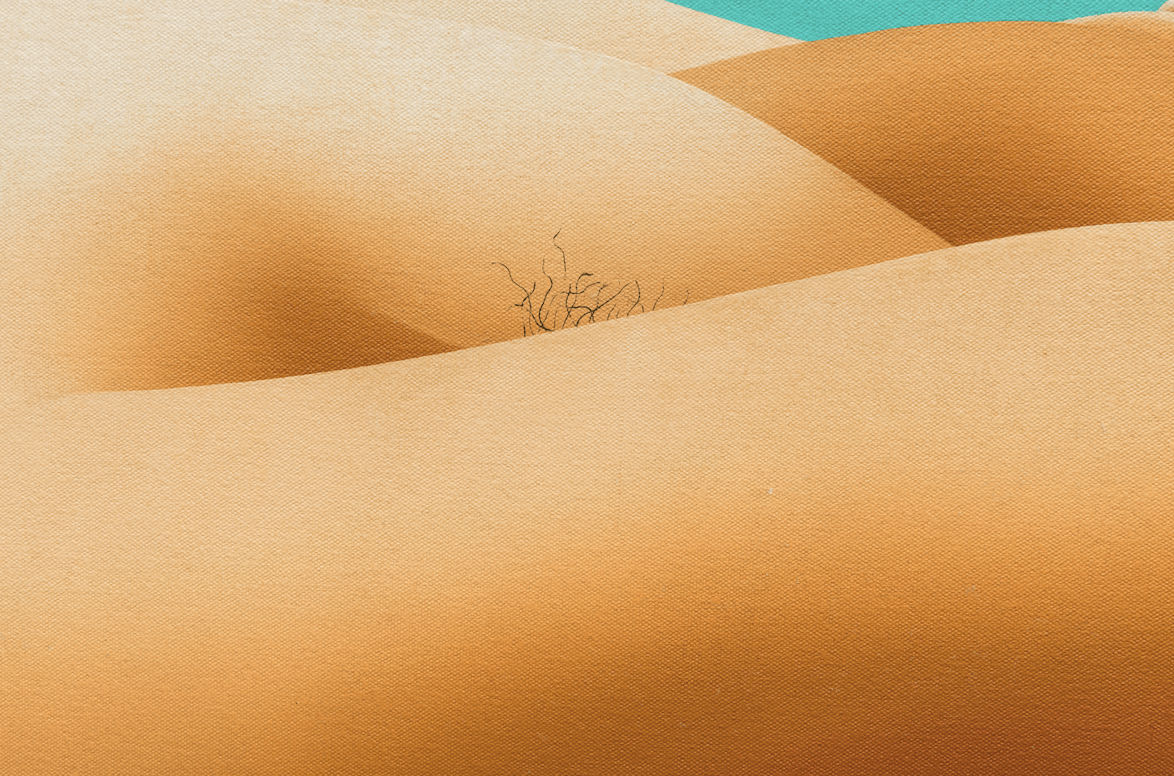 Pietrina Checcacci, Carnações, 1982